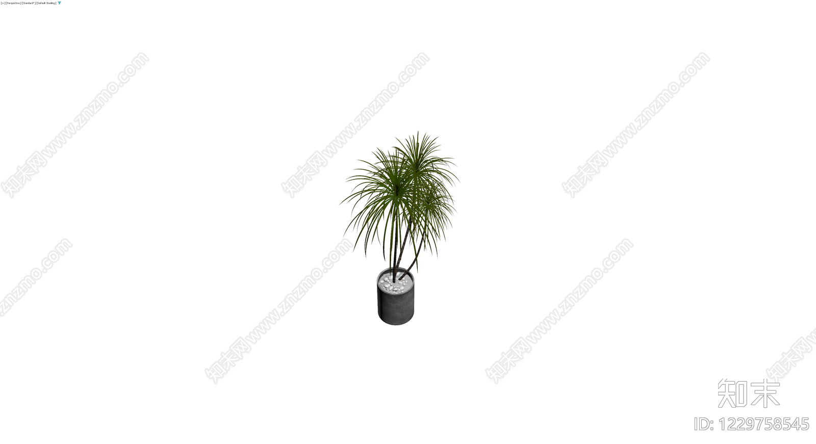 盆栽植物带盆3D模型下载【ID:1229758545】