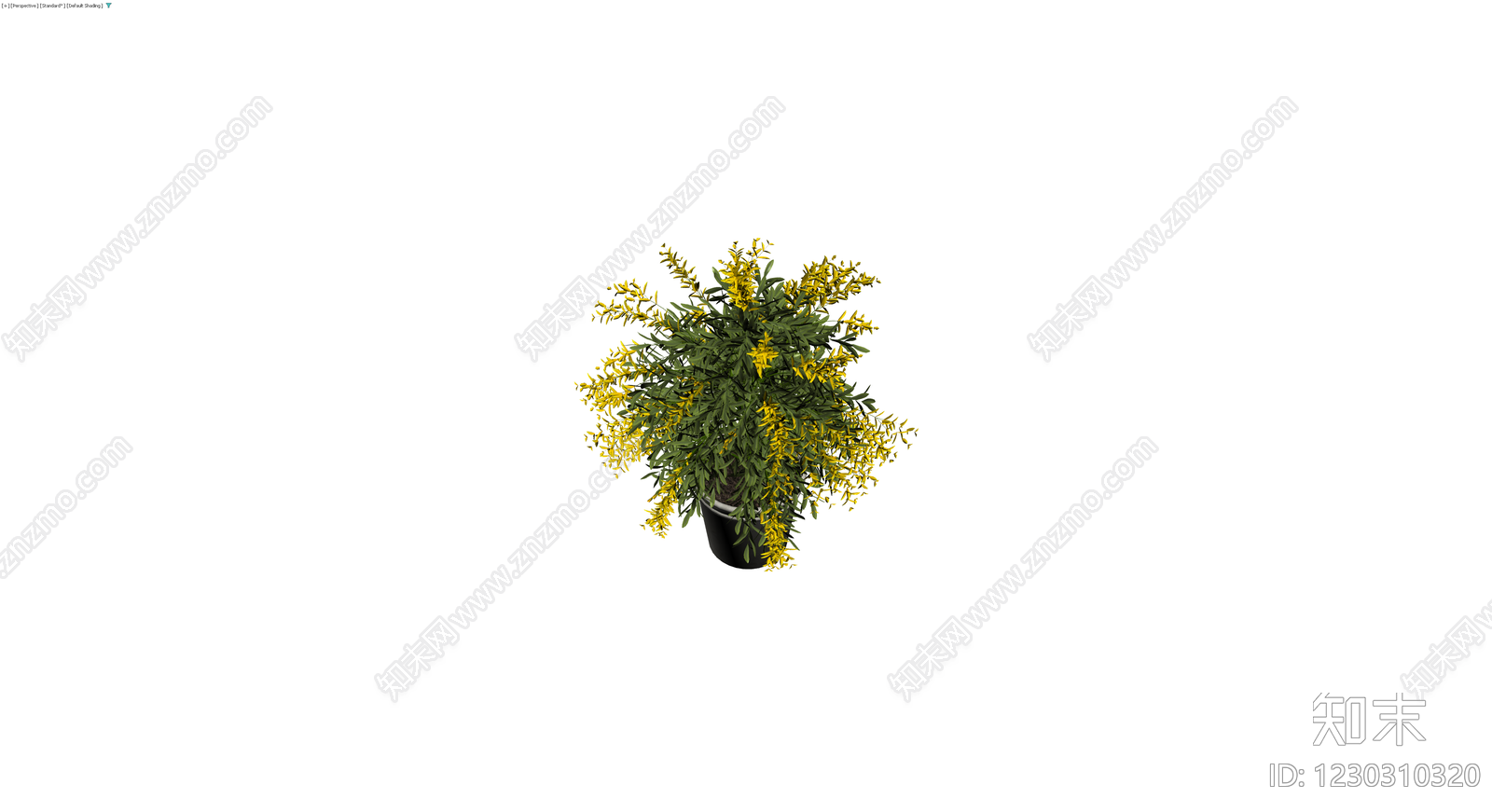 黄色开花盆栽植物3D模型下载【ID:1230310320】