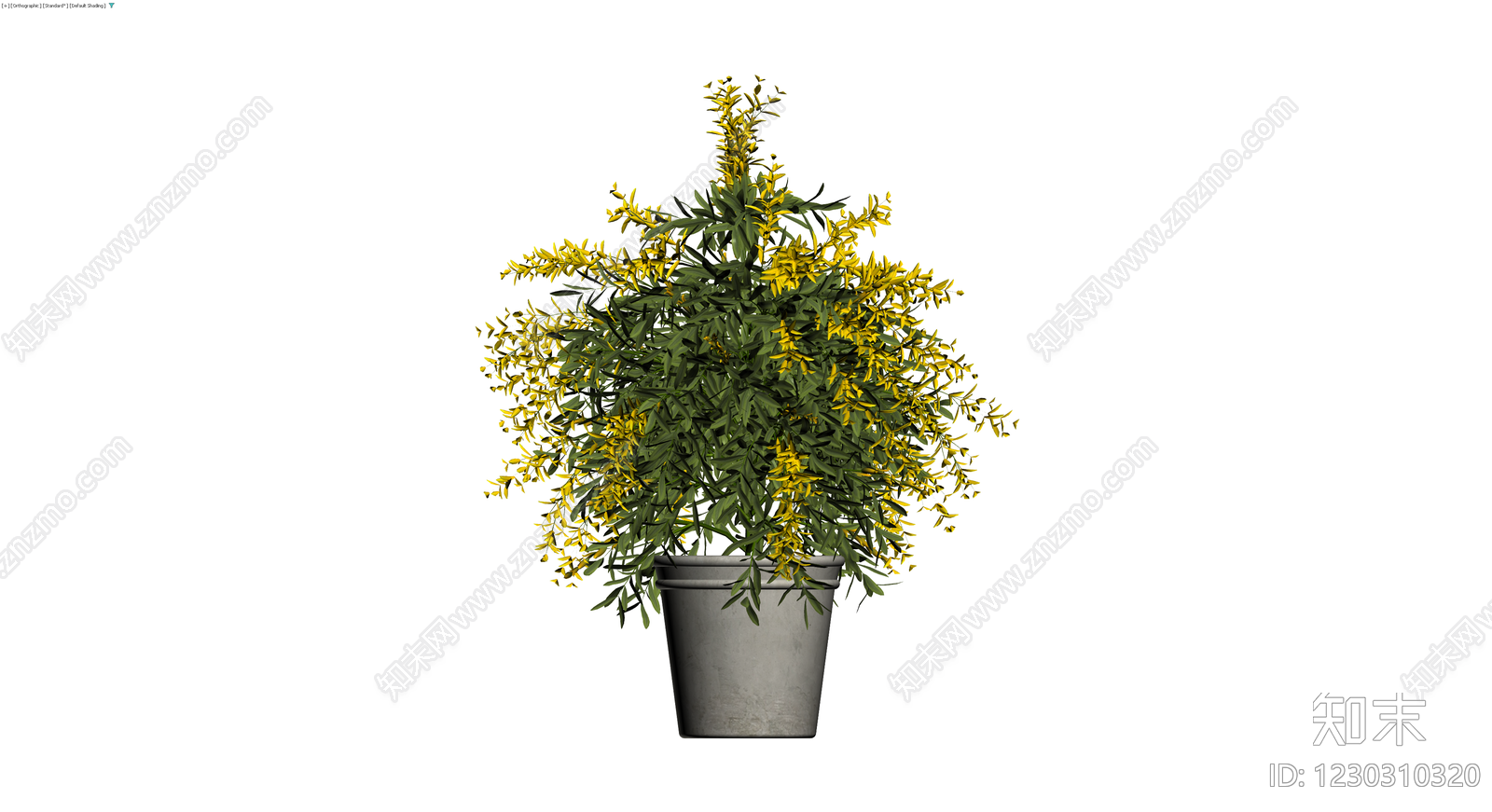 黄色开花盆栽植物3D模型下载【ID:1230310320】