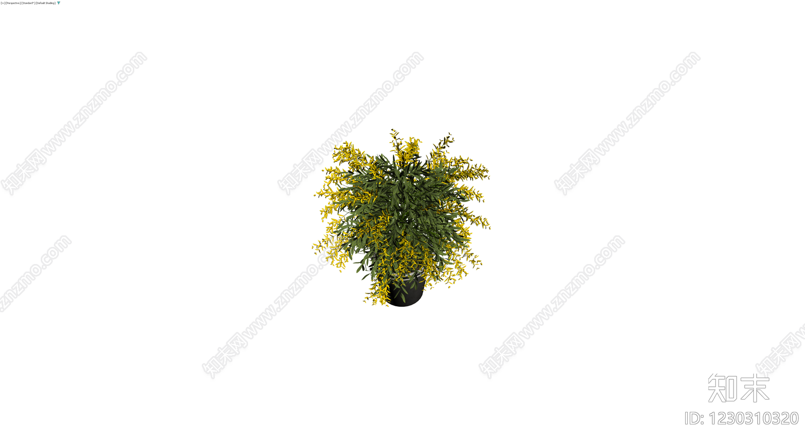 黄色开花盆栽植物3D模型下载【ID:1230310320】