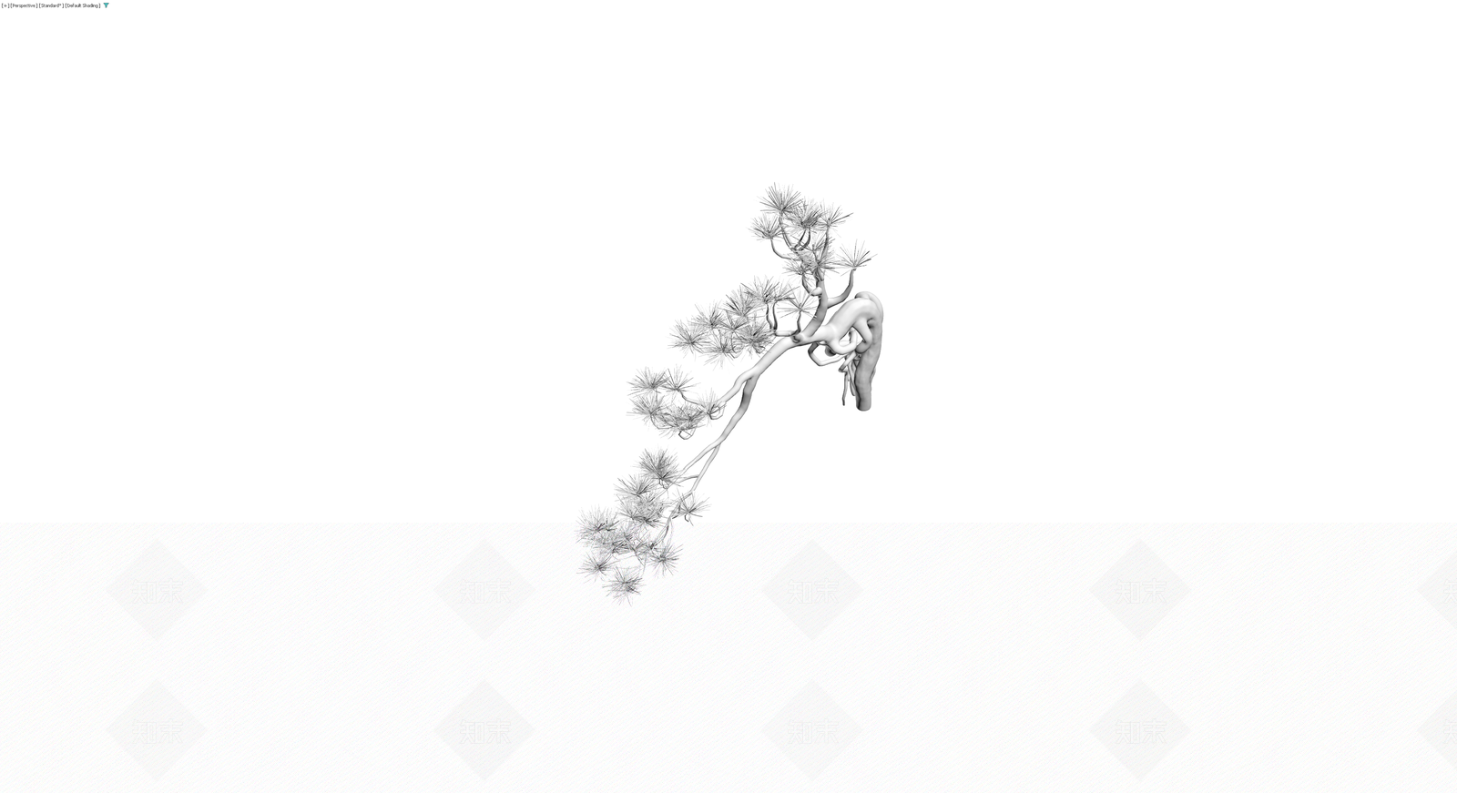 白化风格松树模型3D模型下载【ID:1229602625】