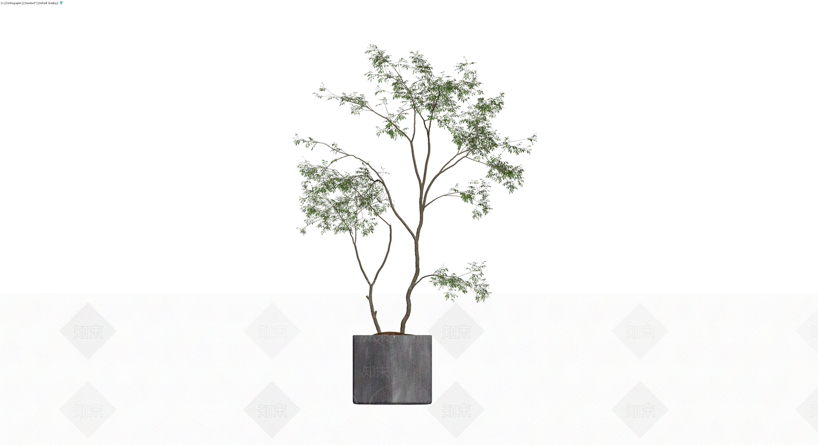 盆栽植物带盆3D模型下载【ID:1229892122】