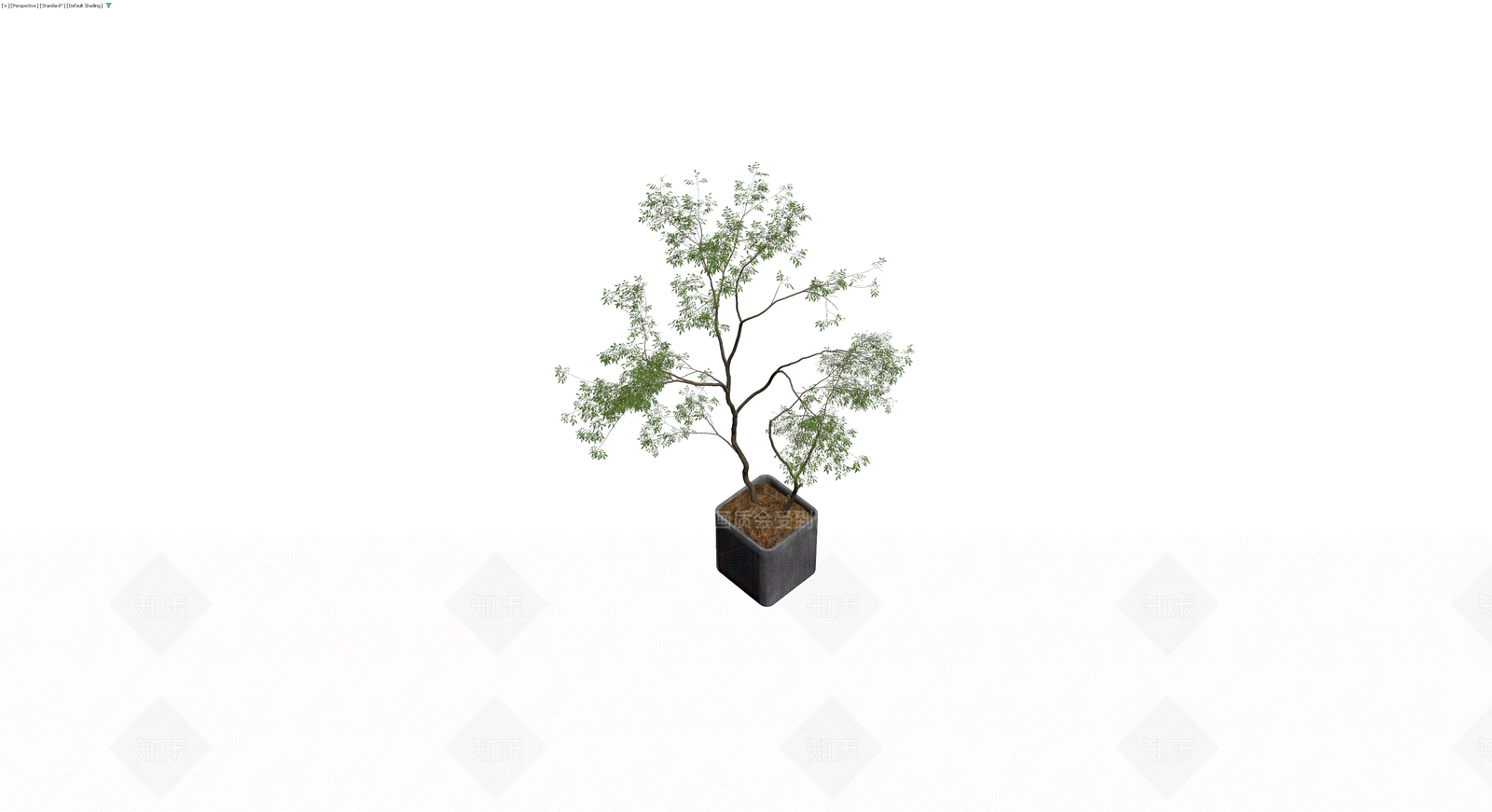 盆栽植物带盆3D模型下载【ID:1229892122】