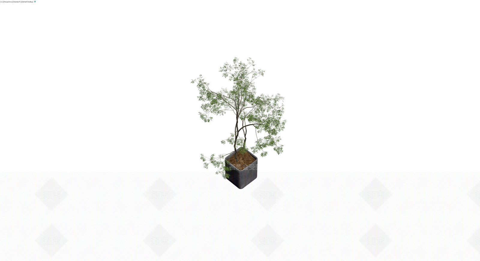盆栽植物带盆3D模型下载【ID:1229892122】
