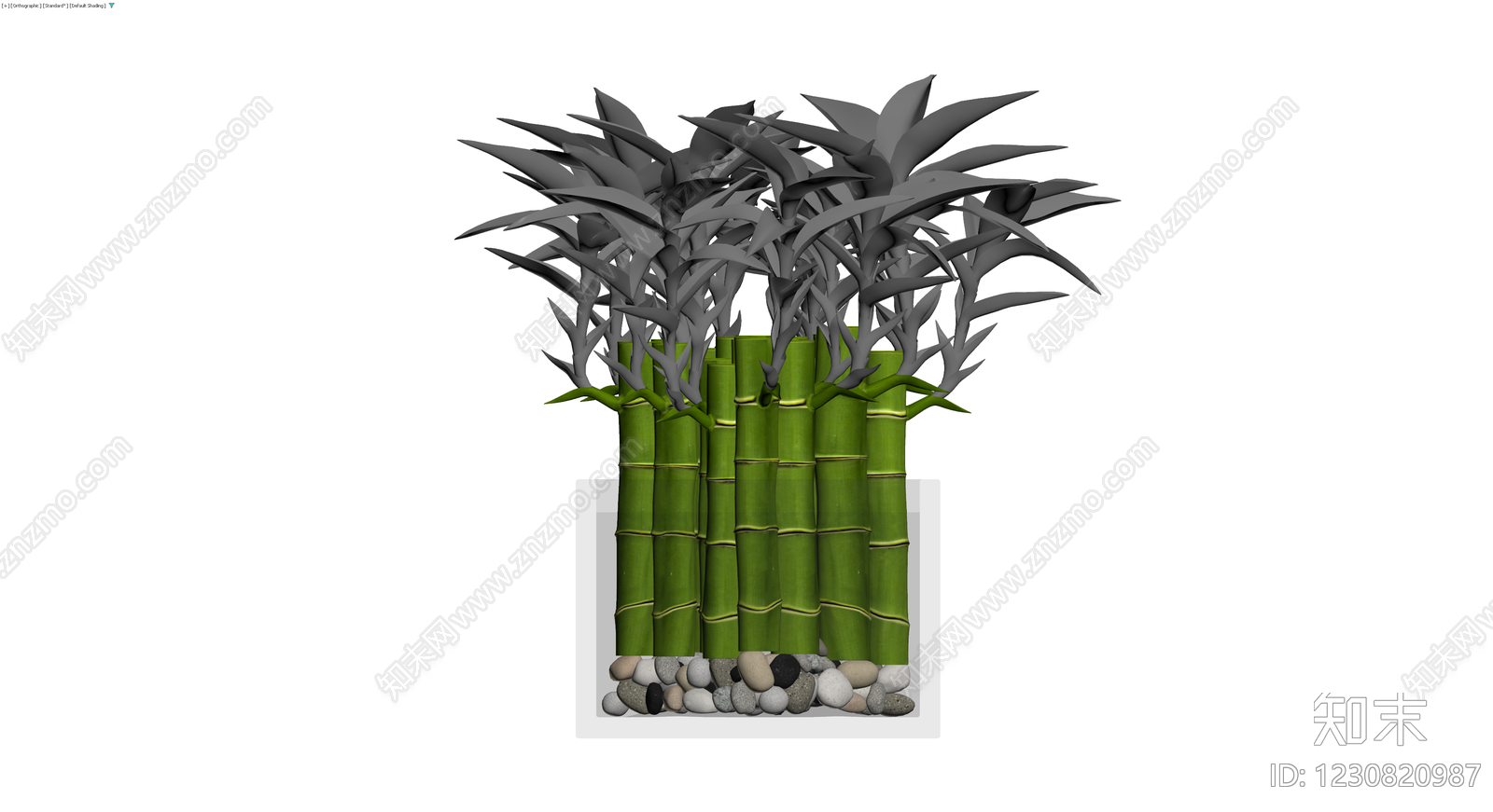 带盆富贵竹盆栽3D模型下载【ID:1230820987】