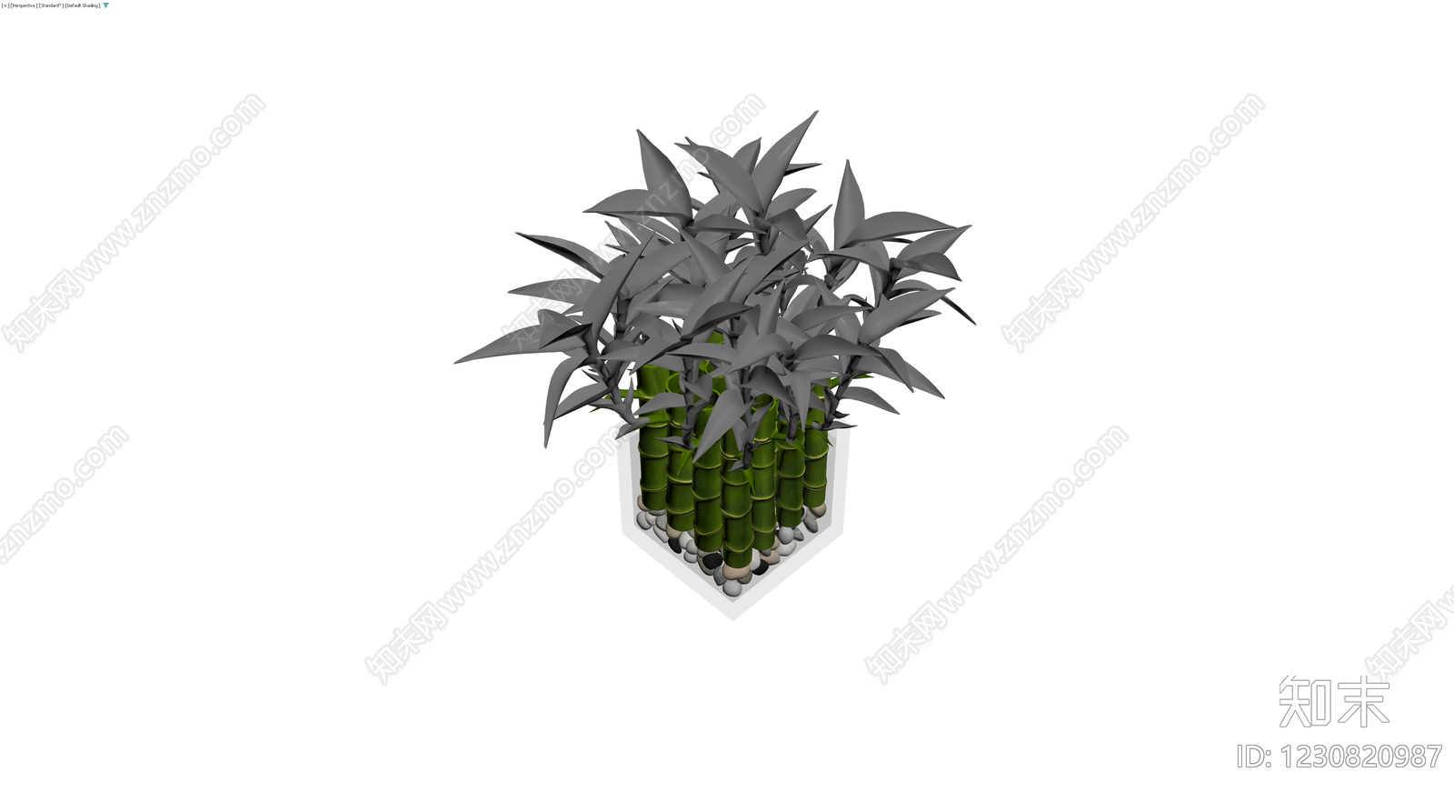 带盆富贵竹盆栽3D模型下载【ID:1230820987】
