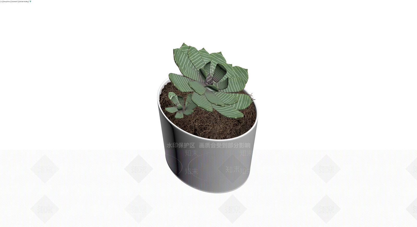 条纹多肉盆栽组合3D模型下载【ID:1230318406】