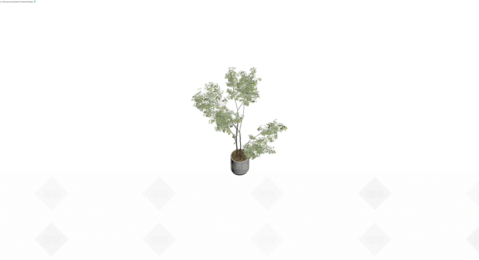 灰模盆栽植物模型3D模型下载【ID:1230104000】