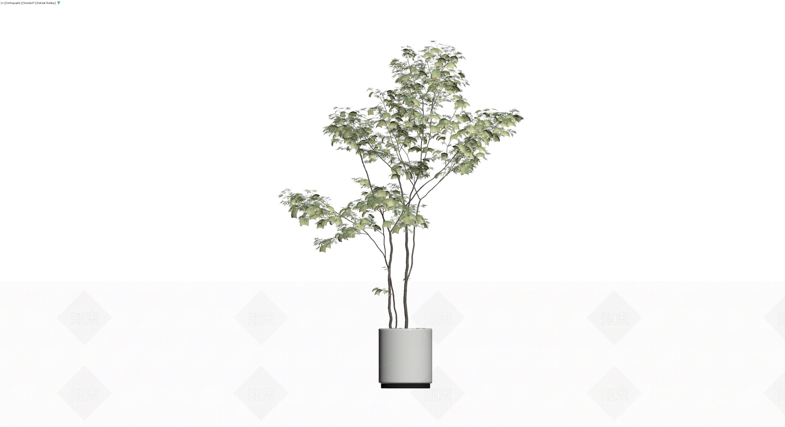 灰模盆栽植物模型3D模型下载【ID:1230104000】