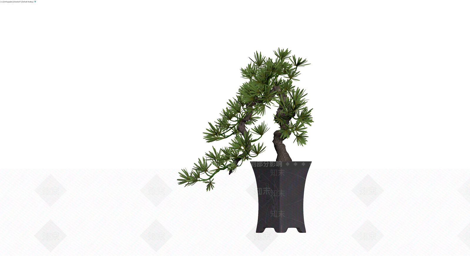 黑色盆栽松树模型3D模型下载【ID:1229905894】