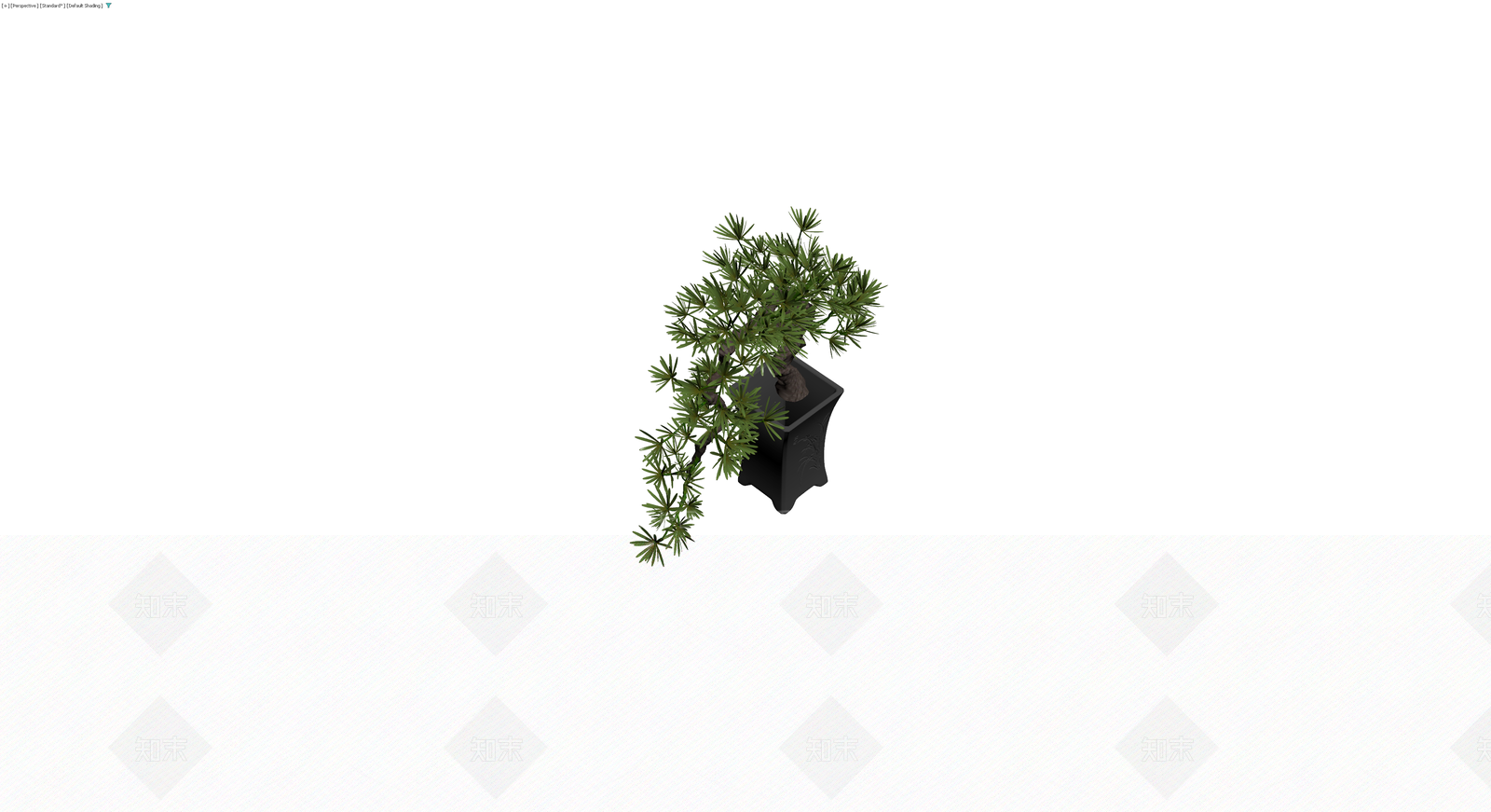黑色盆栽松树模型3D模型下载【ID:1229905894】