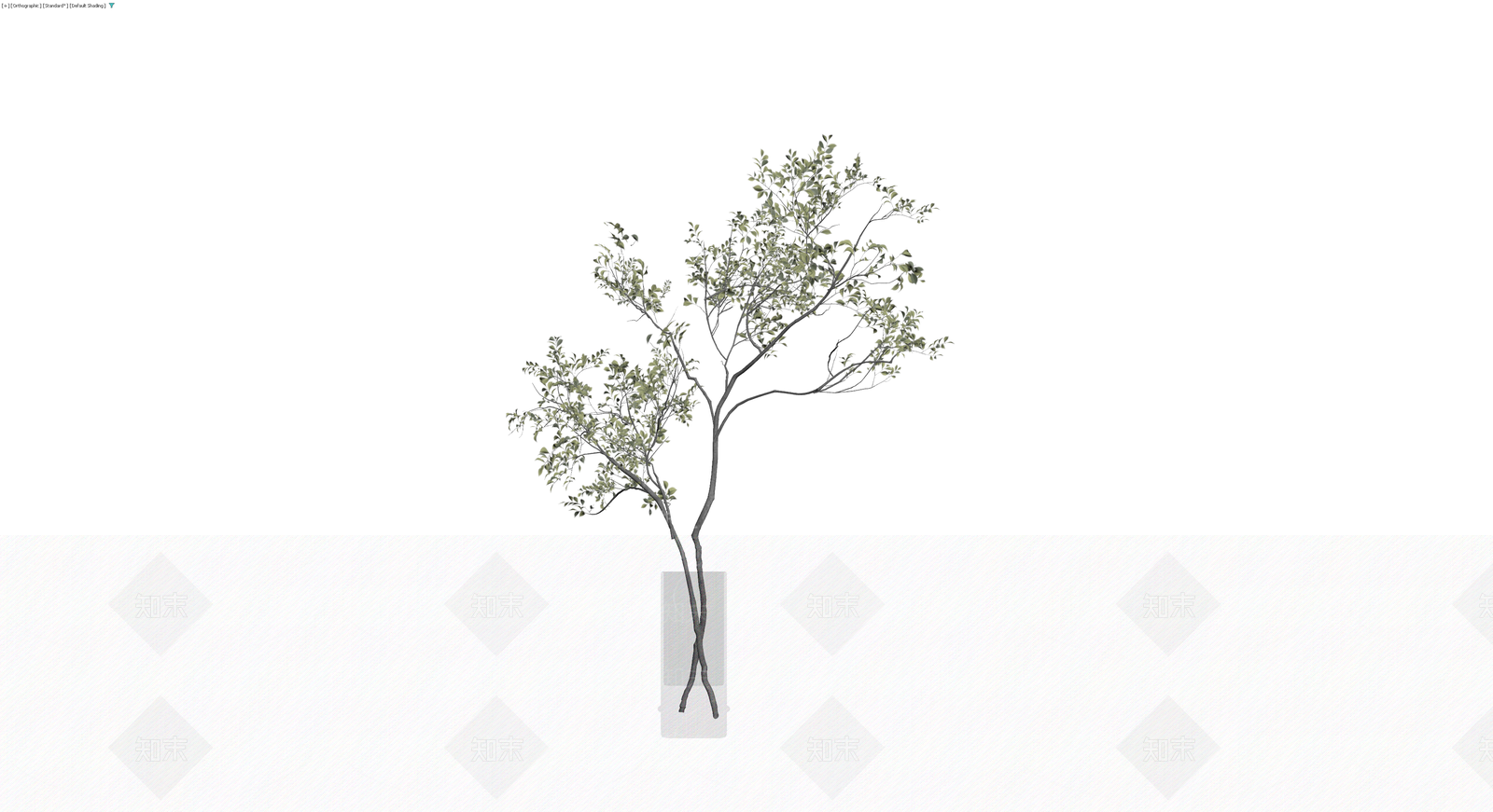 透明花瓶插绿植盆栽3D模型下载【ID:1230178789】