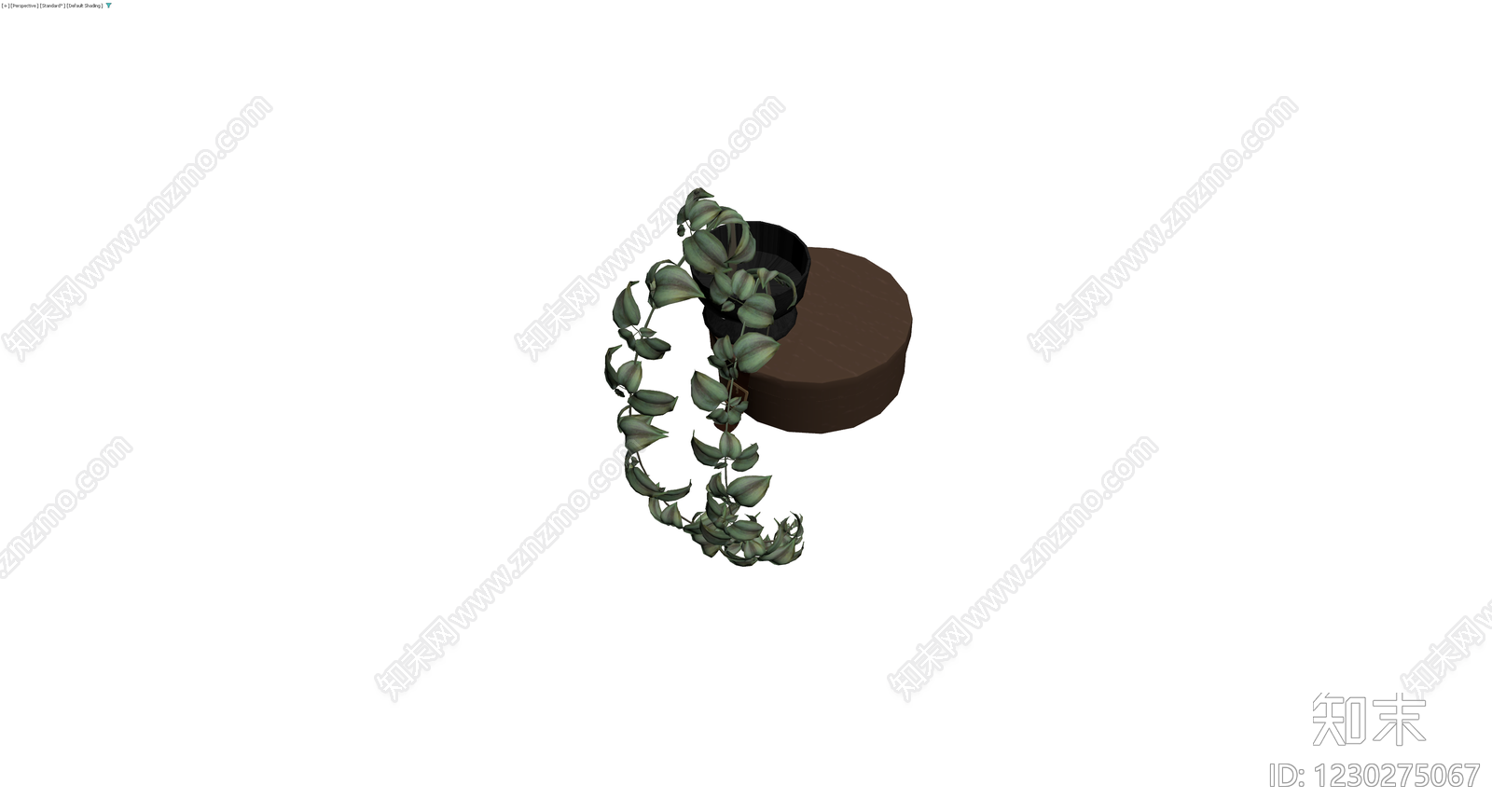 木质底座垂吊盆栽3D模型下载【ID:1230275067】