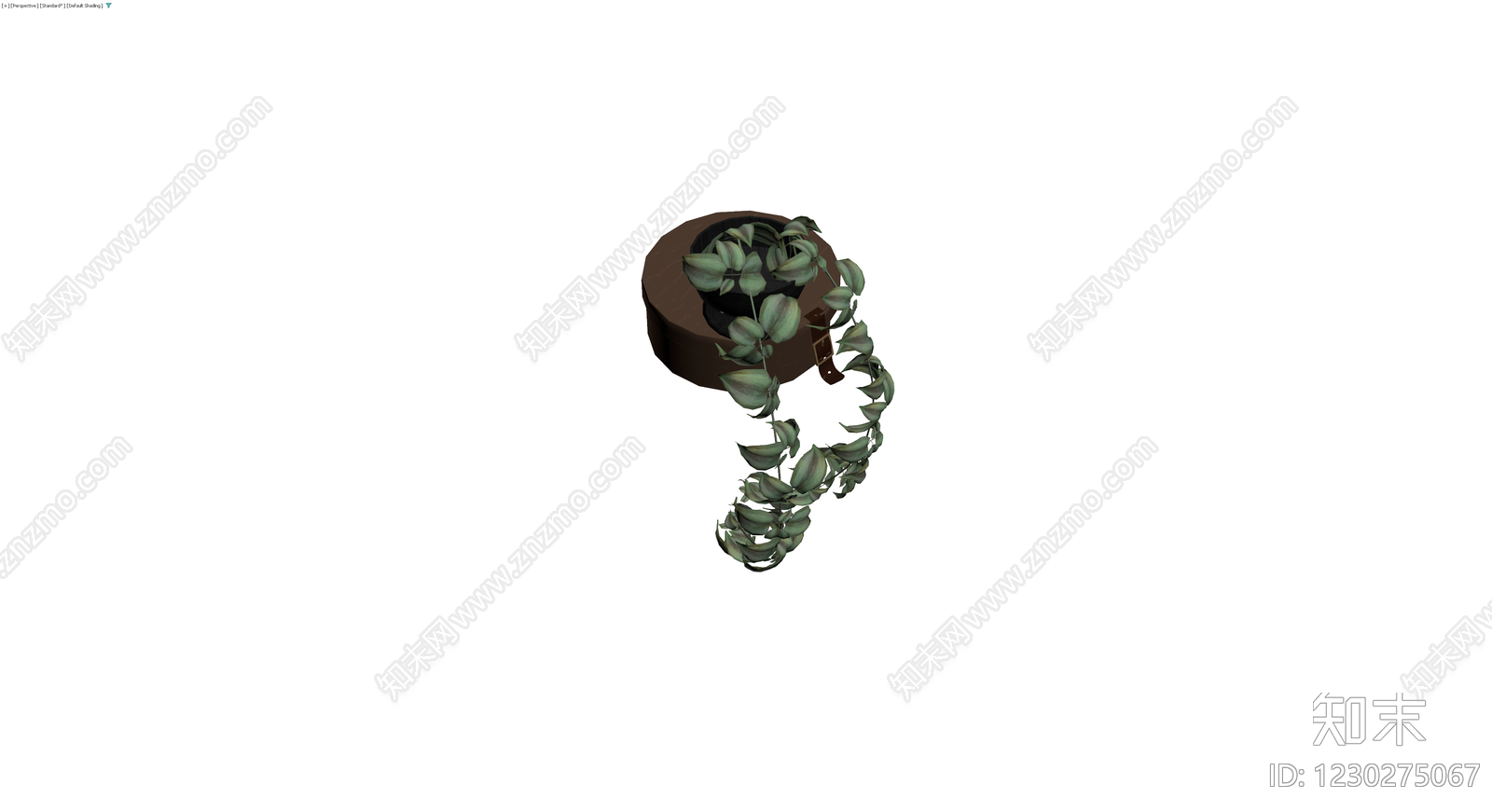 木质底座垂吊盆栽3D模型下载【ID:1230275067】