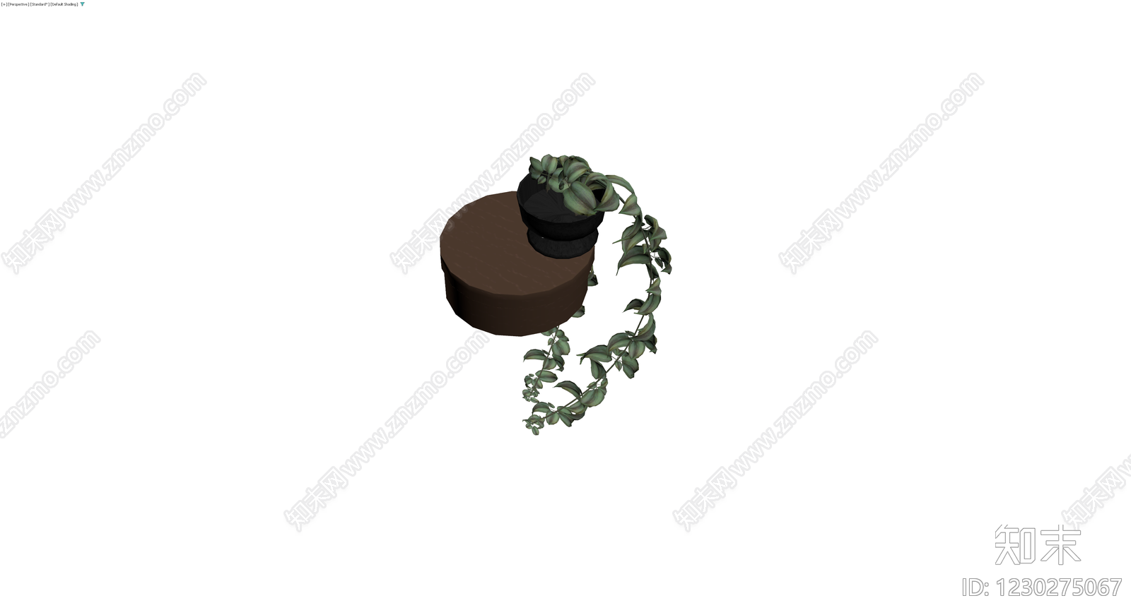 木质底座垂吊盆栽3D模型下载【ID:1230275067】