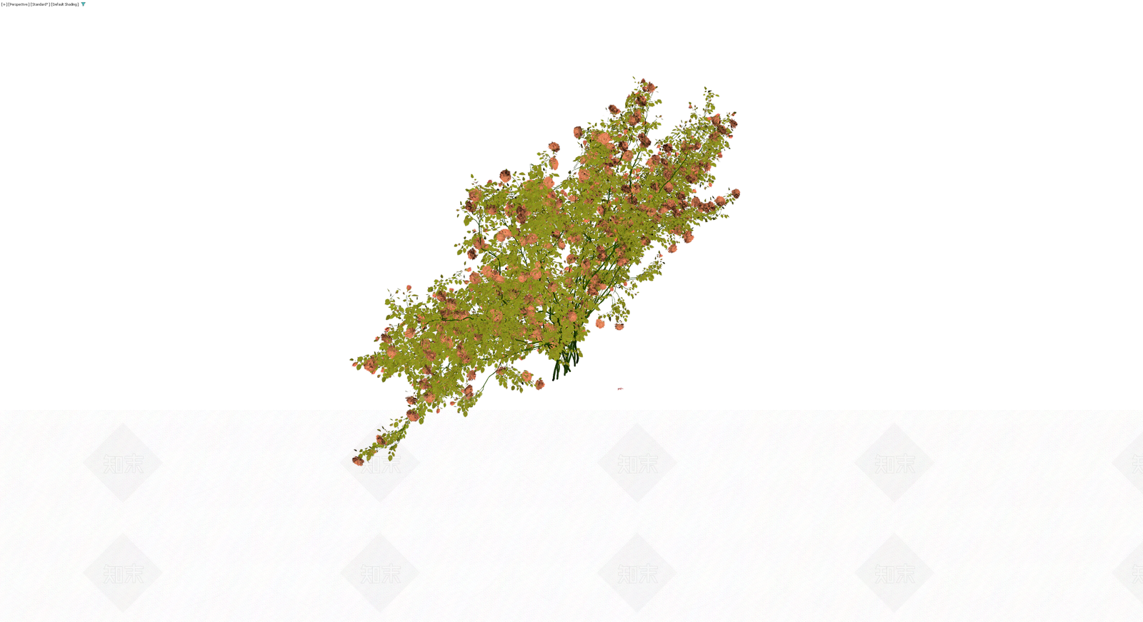 粉色月季灌木丛3D模型下载【ID:1229848577】