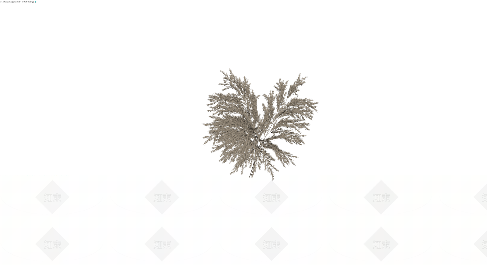 仿真芦苇干花束3D模型下载【ID:1230582282】