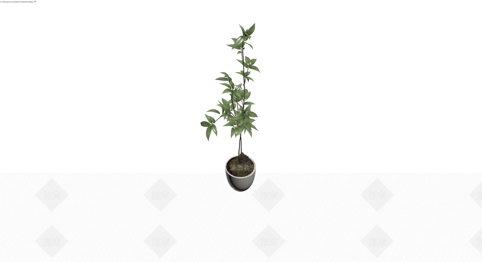 盆栽绿植带盆3D模型下载【ID:1229597667】