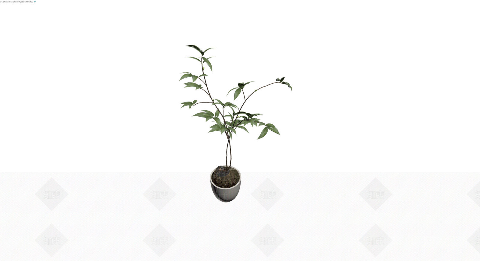 盆栽绿植带盆3D模型下载【ID:1229597667】