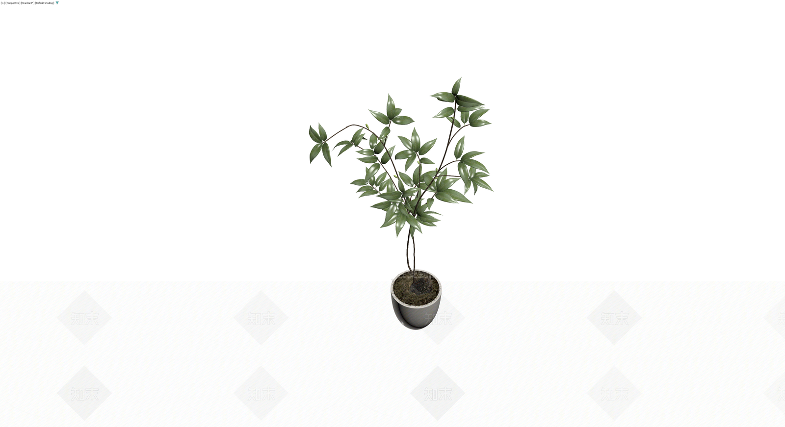 盆栽绿植带盆3D模型下载【ID:1229597667】