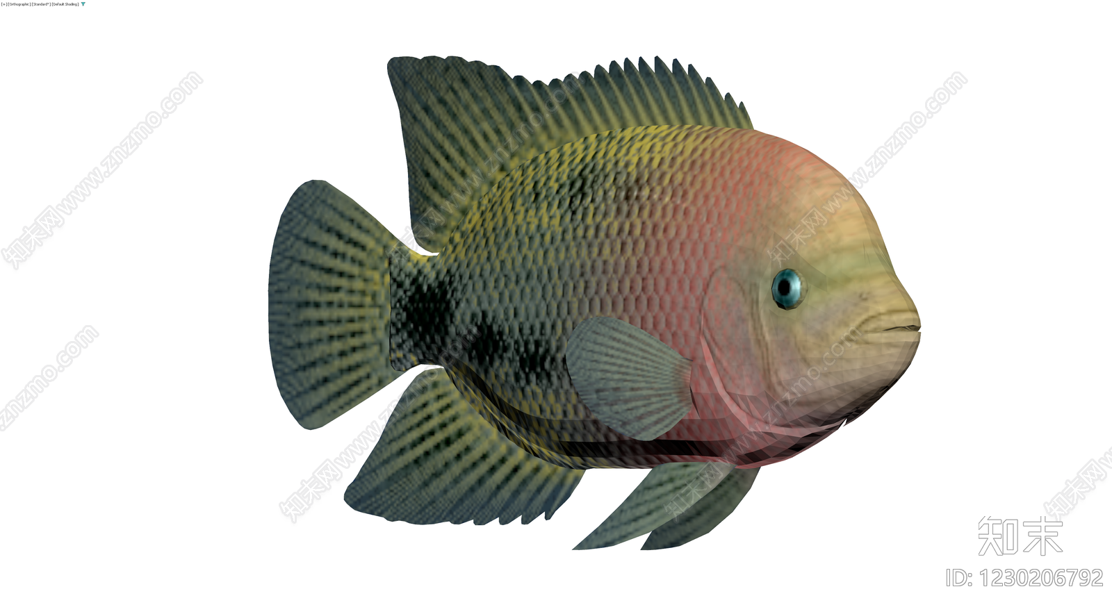 彩色观赏鱼3D模型3D模型下载【ID:1230206792】