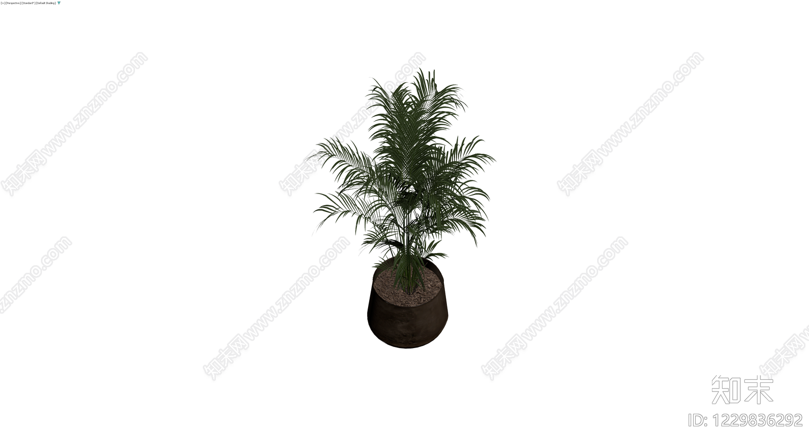深色花盆散尾葵盆栽3D模型下载【ID:1229836292】