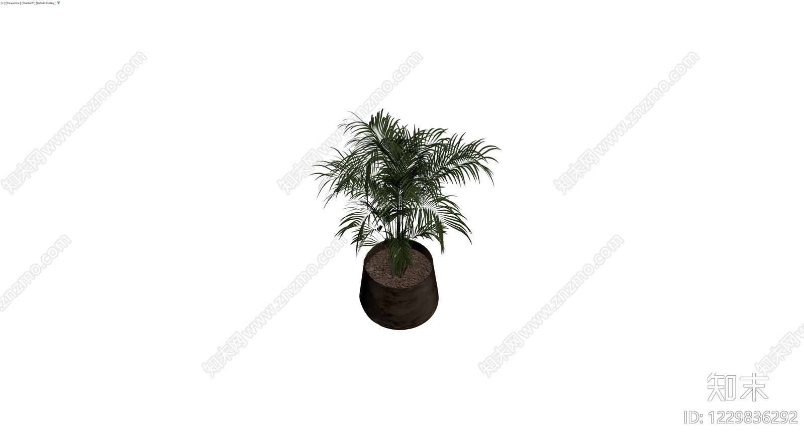 深色花盆散尾葵盆栽3D模型下载【ID:1229836292】