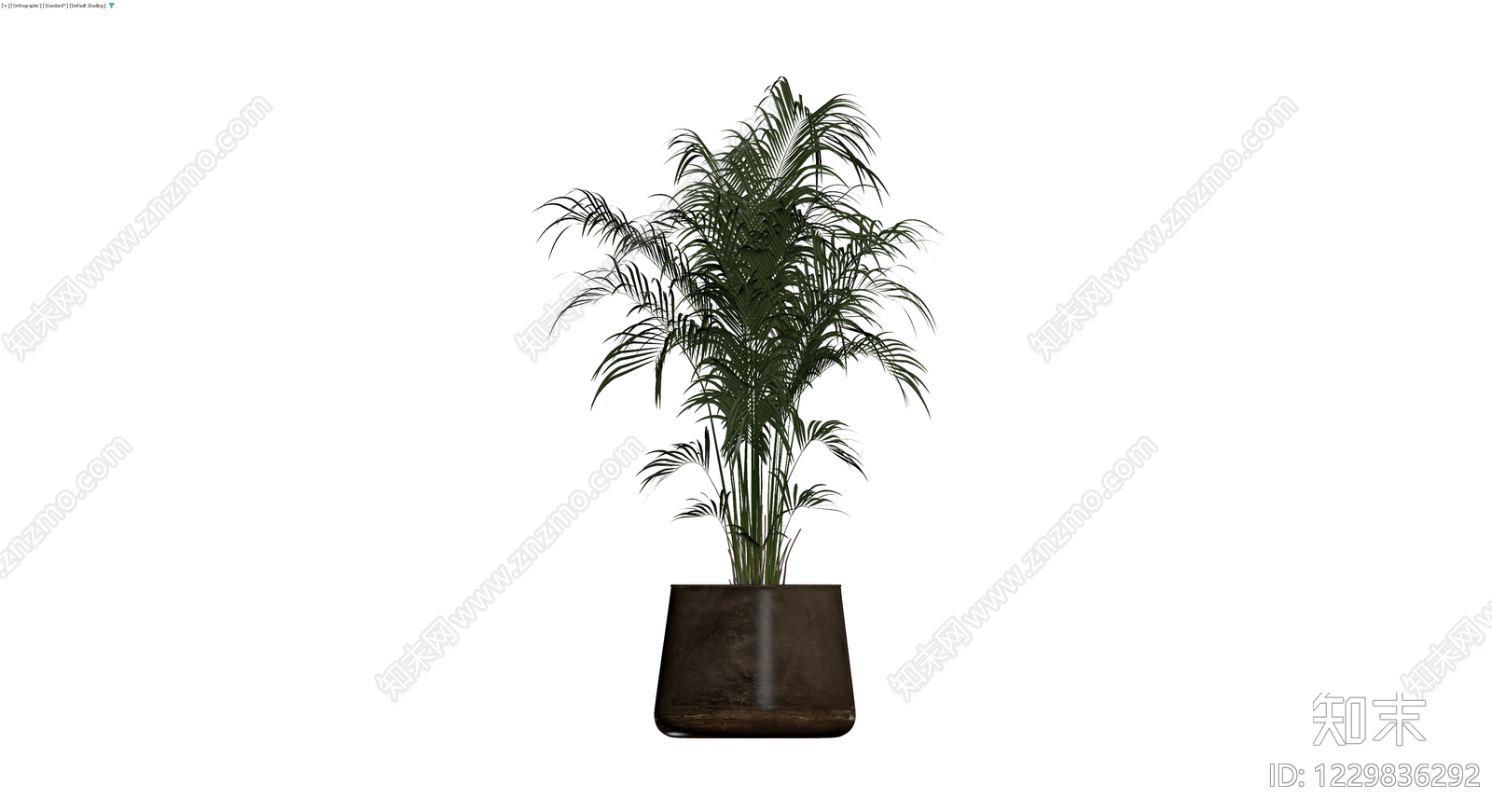 深色花盆散尾葵盆栽3D模型下载【ID:1229836292】
