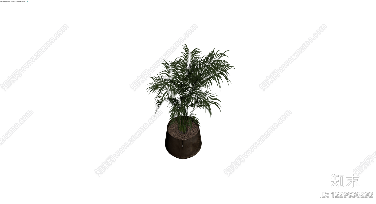 深色花盆散尾葵盆栽3D模型下载【ID:1229836292】