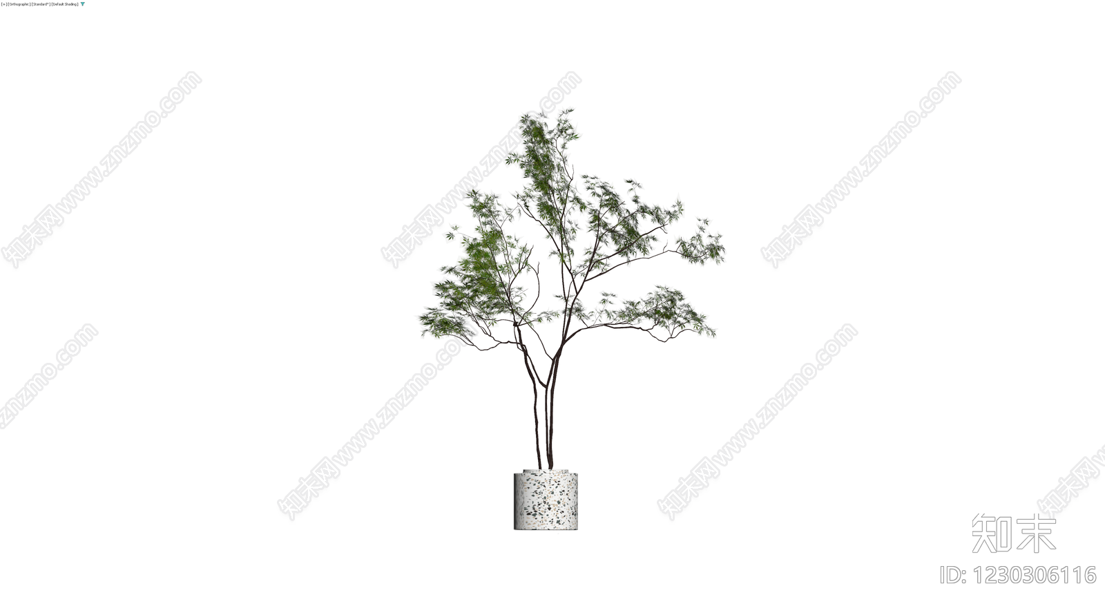 盆栽植物带盆3D模型下载【ID:1230306116】