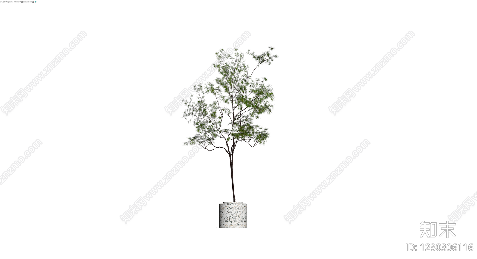 盆栽植物带盆3D模型下载【ID:1230306116】