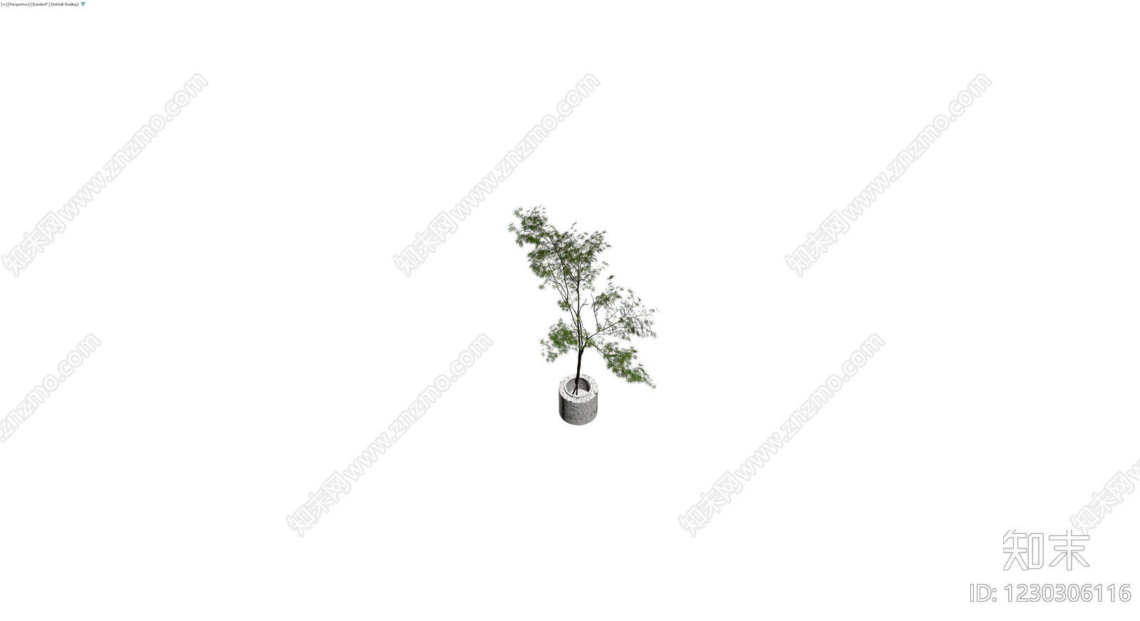 盆栽植物带盆3D模型下载【ID:1230306116】