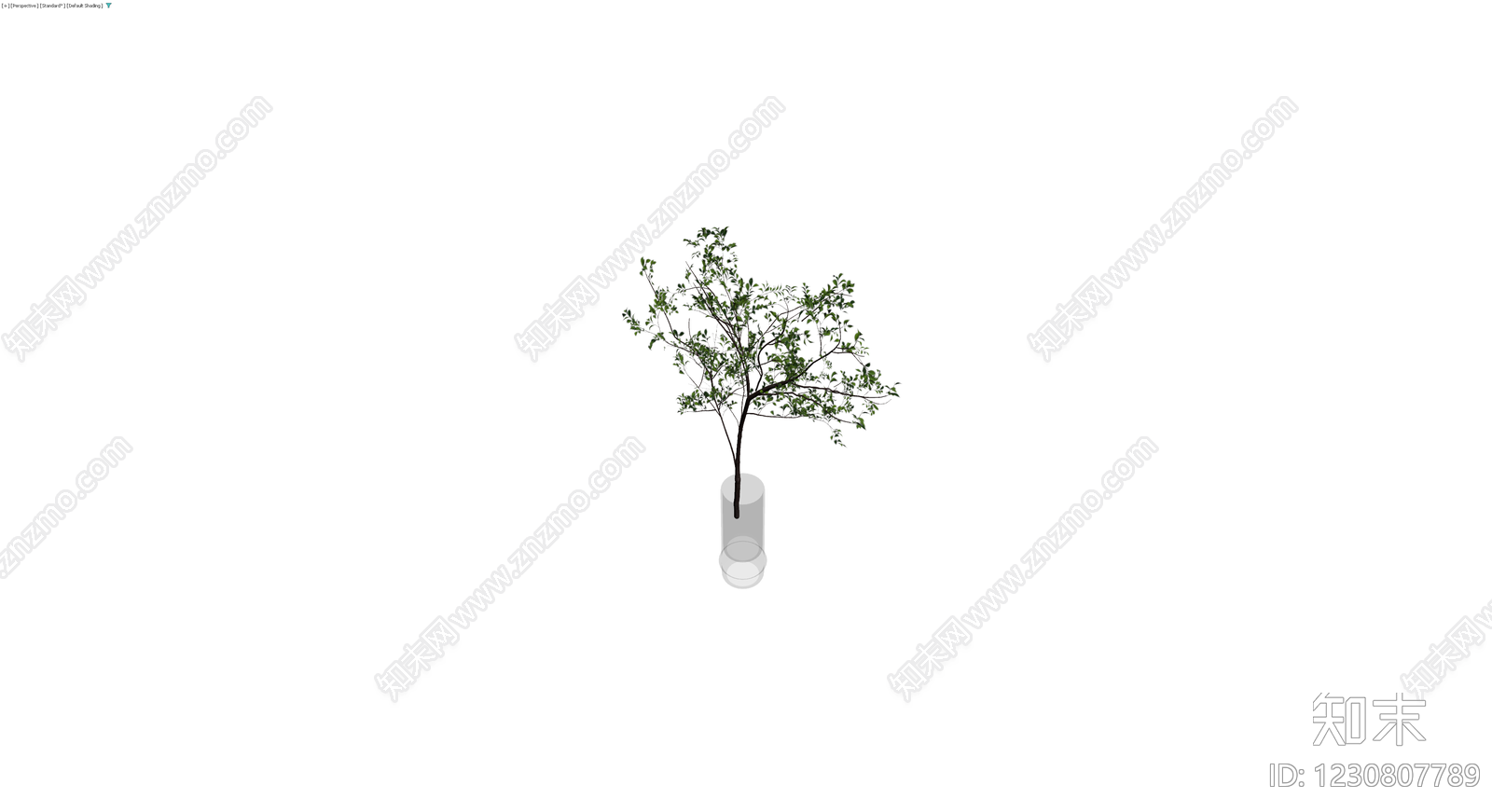 带盆绿植盆栽模型3D模型下载【ID:1230807789】