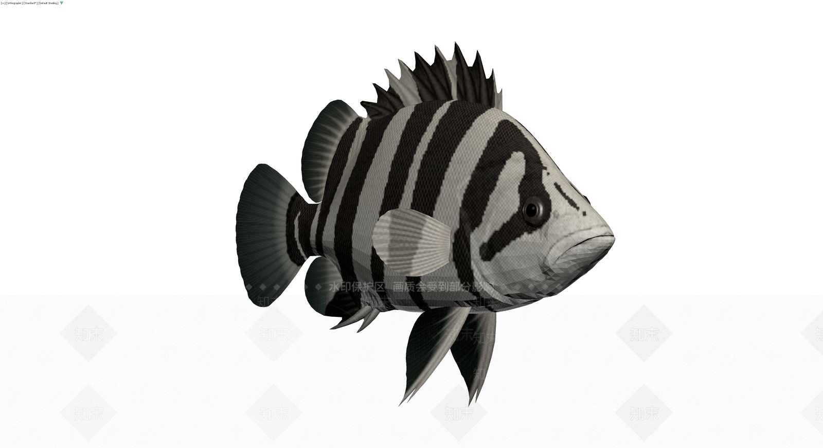 黑白条纹鱼类模型3D模型下载【ID:1229683667】
