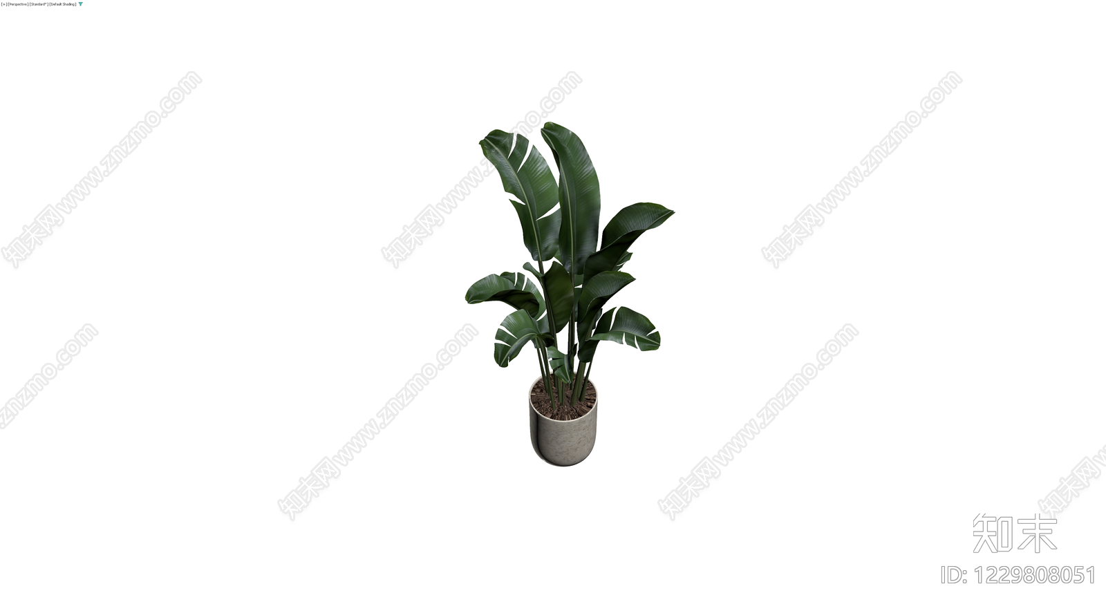 盆栽天堂鸟植物3D模型下载【ID:1229808051】