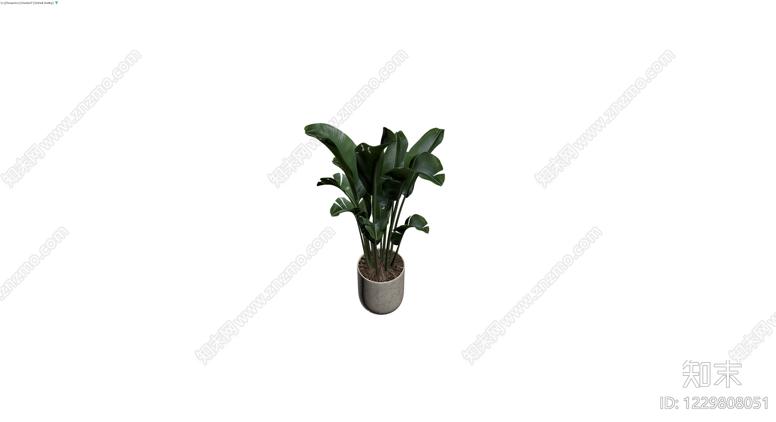 盆栽天堂鸟植物3D模型下载【ID:1229808051】