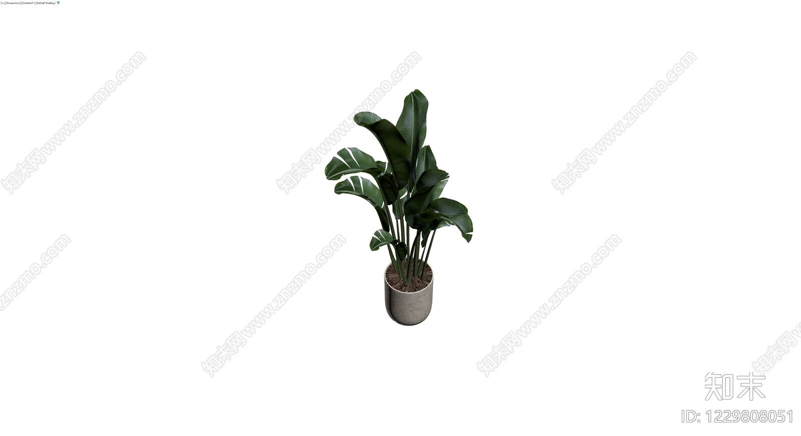 盆栽天堂鸟植物3D模型下载【ID:1229808051】