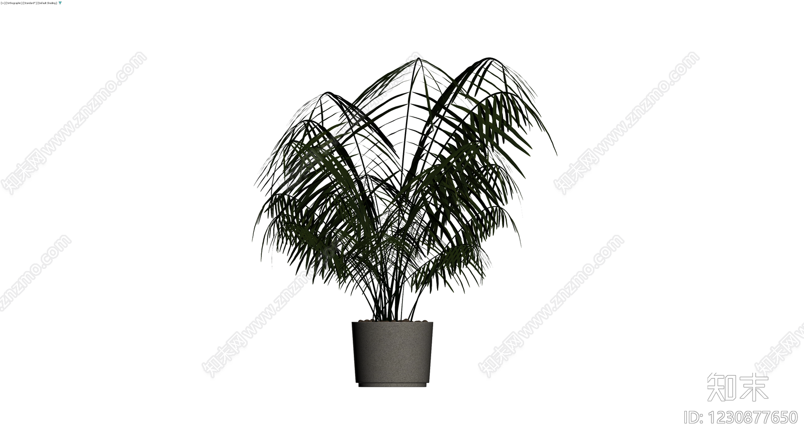 仿真散尾葵盆栽3D模型下载【ID:1230877650】
