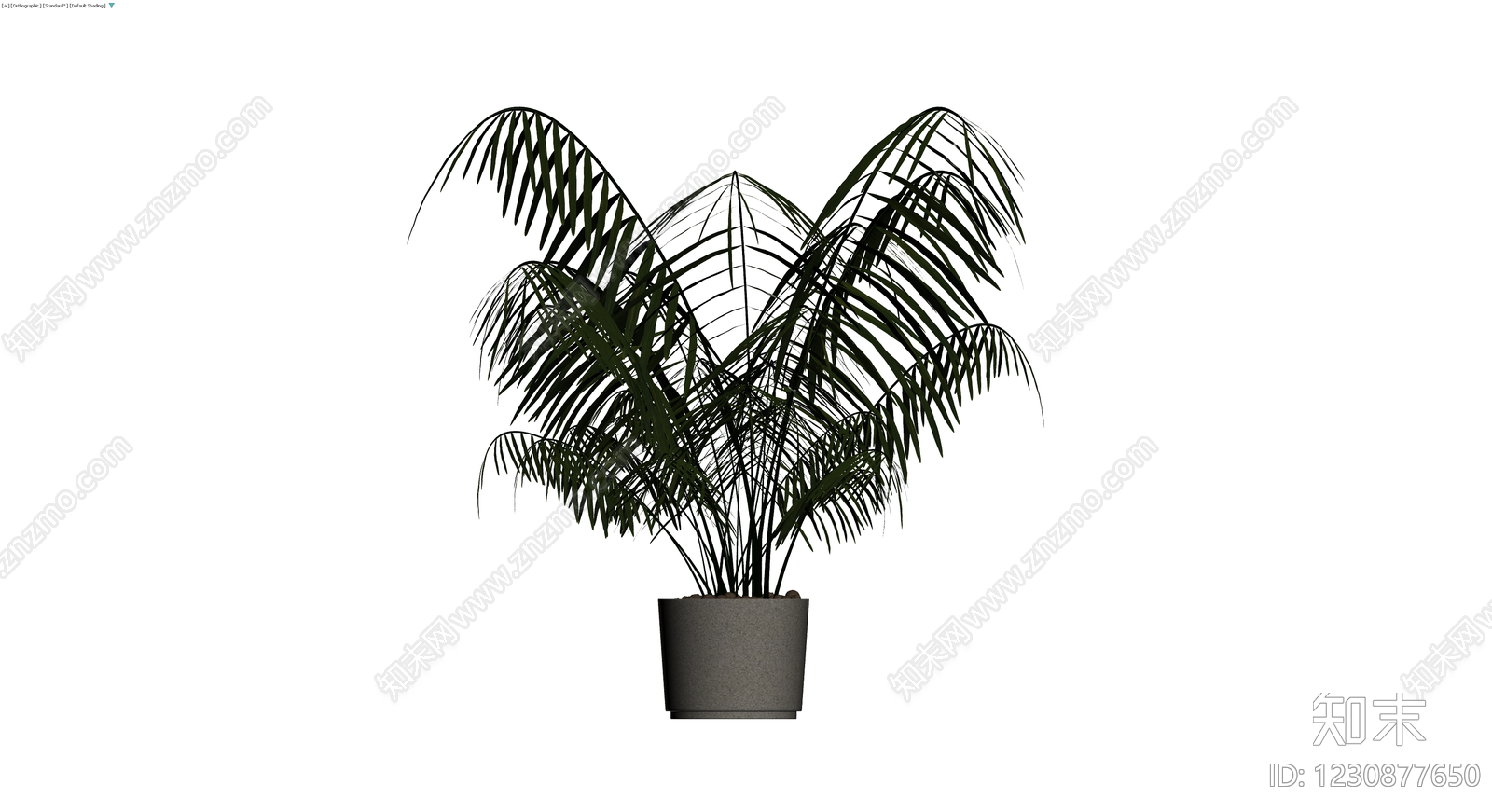 仿真散尾葵盆栽3D模型下载【ID:1230877650】