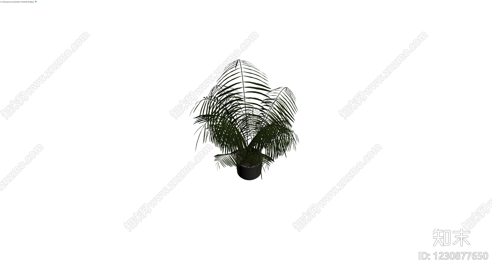 仿真散尾葵盆栽3D模型下载【ID:1230877650】