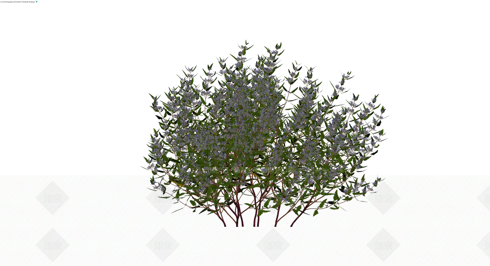 开花灌木植物模型3D模型下载【ID:1230147149】