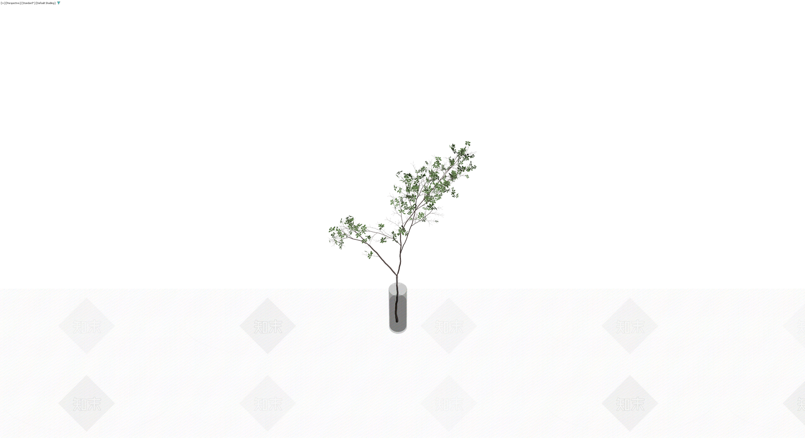 盆栽植物带玻璃花瓶3D模型下载【ID:1230421592】