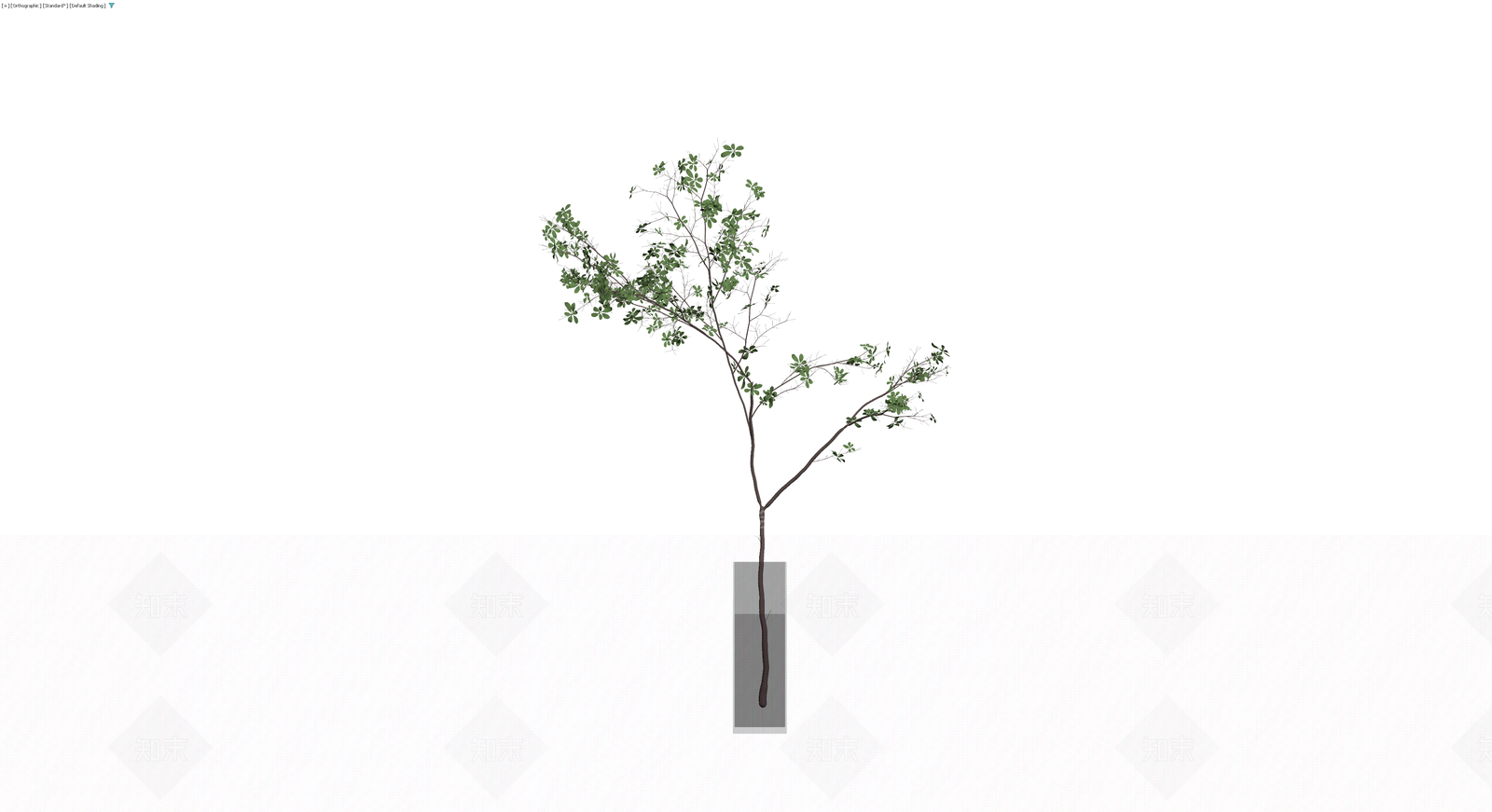 盆栽植物带玻璃花瓶3D模型下载【ID:1230421592】