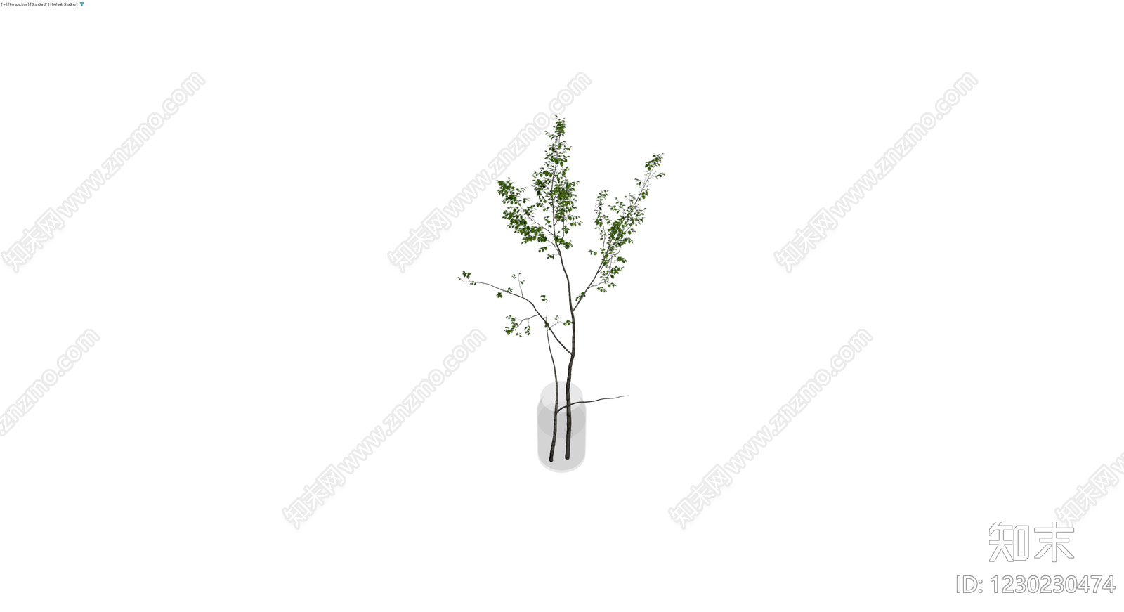 带玻璃花瓶的绿植盆栽3D模型下载【ID:1230230474】