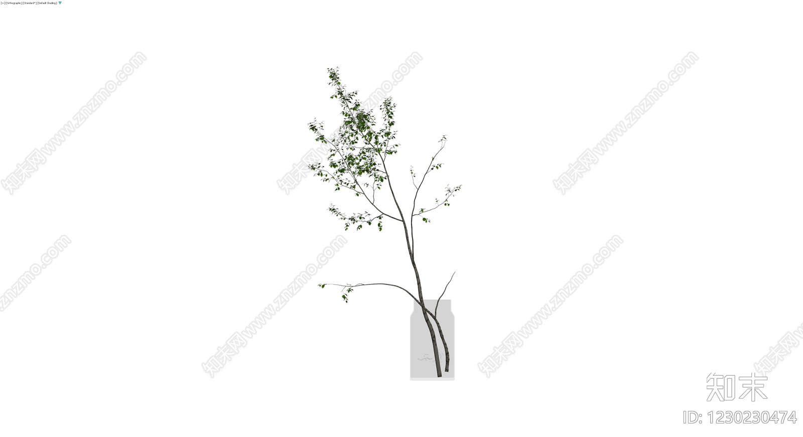 带玻璃花瓶的绿植盆栽3D模型下载【ID:1230230474】