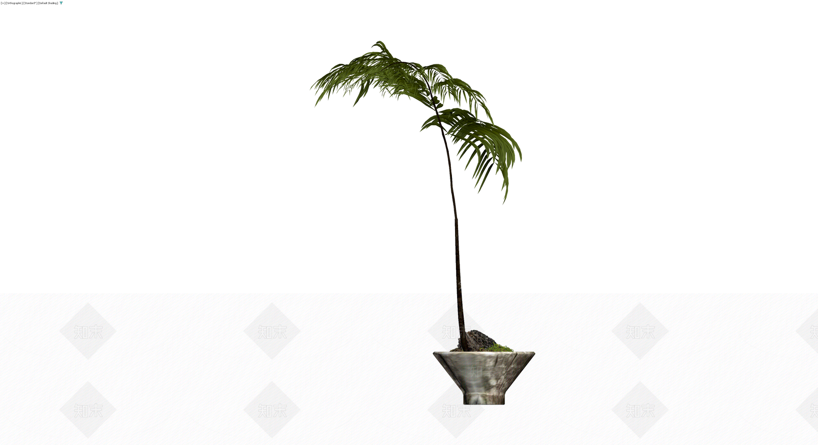 盆栽植物模型3D模型下载【ID:1229892144】