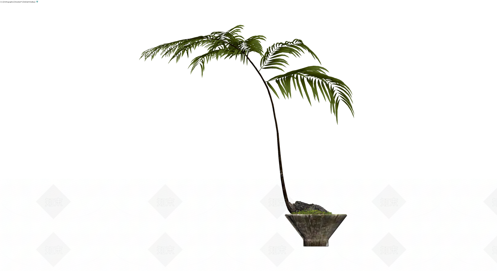 盆栽植物模型3D模型下载【ID:1229892144】