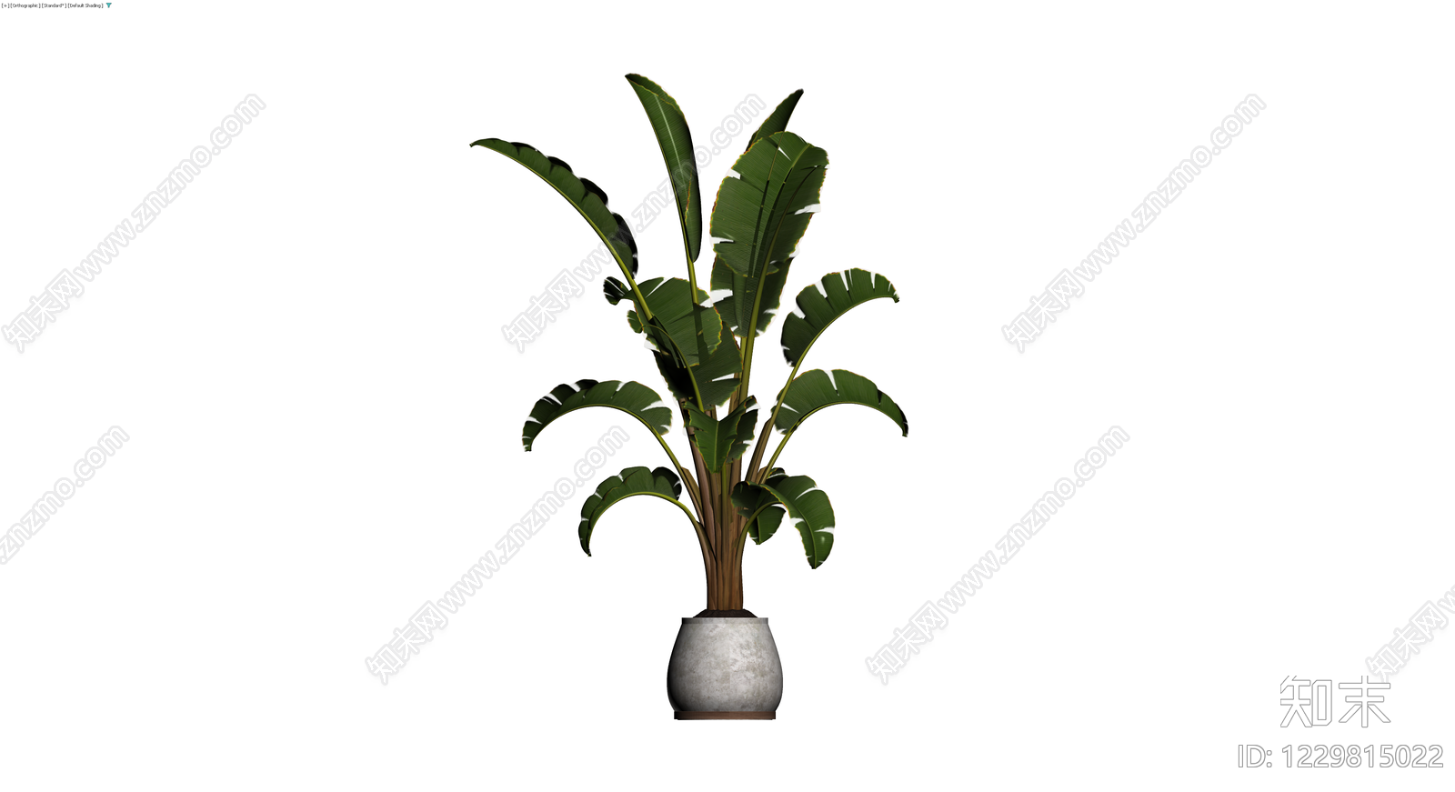 盆栽仿真植物模型3D模型下载【ID:1229815022】