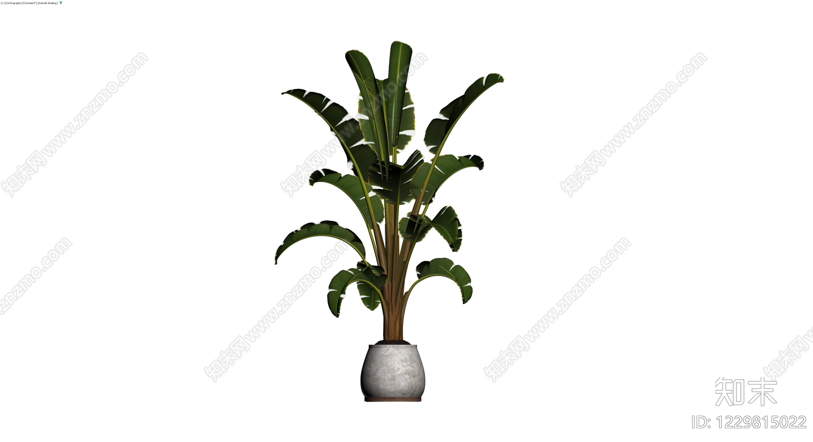 盆栽仿真植物模型3D模型下载【ID:1229815022】
