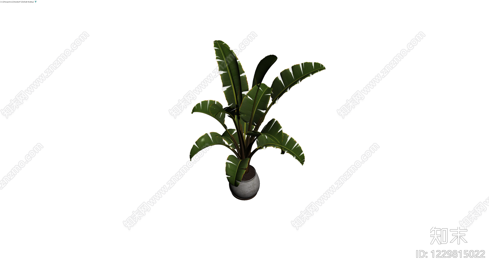 盆栽仿真植物模型3D模型下载【ID:1229815022】